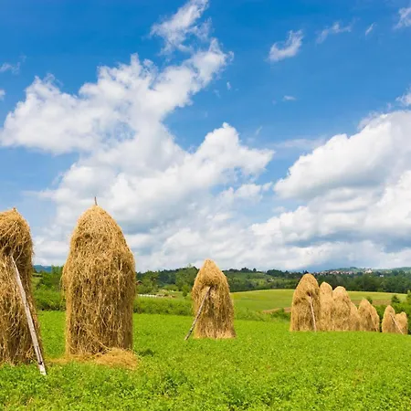 House Kolpa Paradise Whirlpool And Sauna - Happy 度假居