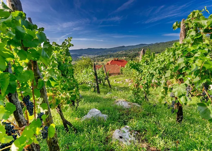 Casa vacanze House Kolpa Paradise Whirlpool And Sauna - Happy