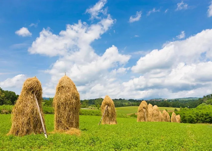 House Kolpa Paradise Whirlpool And Sauna - Happy Casa vacanze